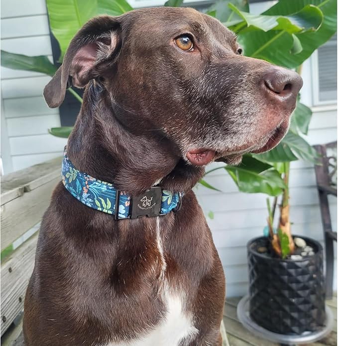 Elegant little tail Dog Collar, Floral Pet Collar Durable Darkblue Flower Dog Collars Male or Female Holiday Pet Gift Adjustable Dog Collar for X-Large Dogs