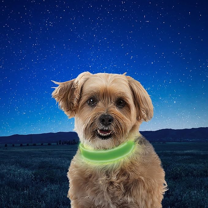Nite Ize NiteDog Rechargeable LED Collar - Light Up Dog Collar with Durable Metal Buckle - Water-Resistant & Rechargeable Collar - Dog Supplies for Night Activities - Small, Lime