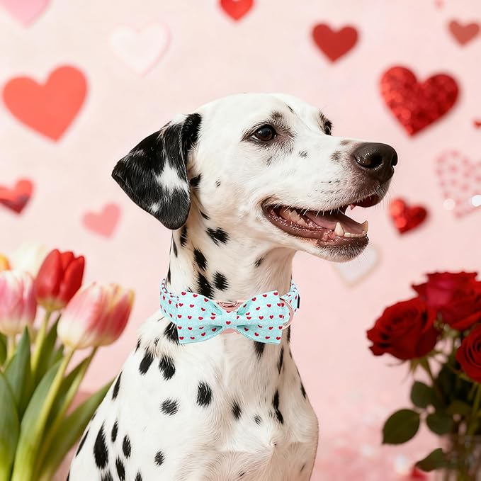 Maca Bates Valentine's Day Dog Collar with Fancy Bow for Small Girl Boy Dogs,Blue Red Love Hearts Pattern,Adjustable Durable Soft Valentine Gift for Female Male Puppy