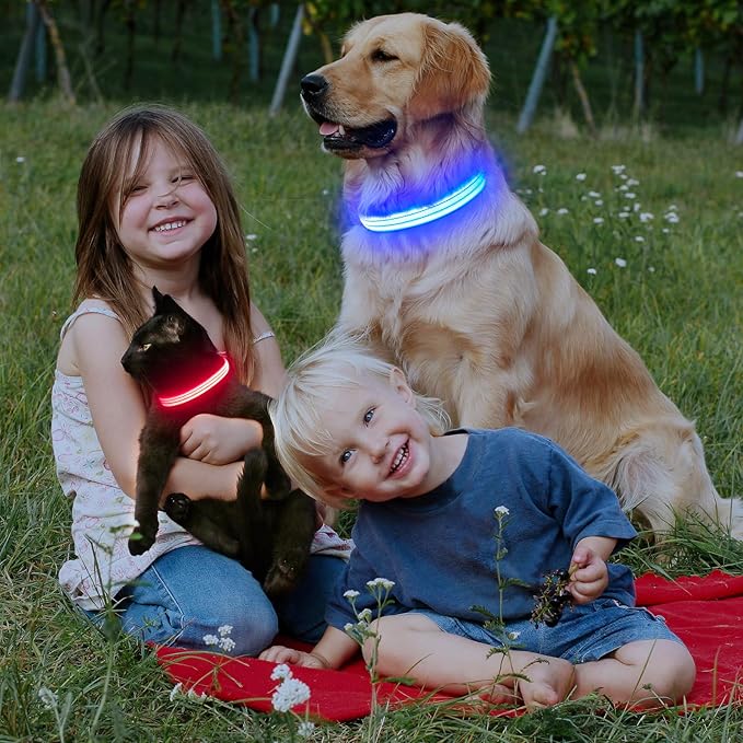 LED Lighted Reflective Dog Collar for Night Safety, USB Rechargeable, Glow Collar for Dogs, Waterproof Adjustable Flashing (Pink, Medium)