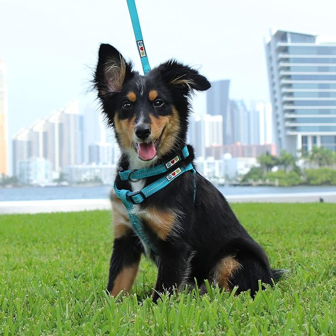 Pawtitas Recycled Reflective Step-in Dog Harness – Adjustable No-Pull Vest for Puppies to Seniors, Safe & Comfortable M Pink