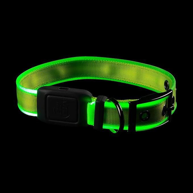 Nite Ize NiteDog Rechargeable LED Collar - Light Up Dog Collar with Durable Metal Buckle - Water-Resistant & Rechargeable Collar - Dog Supplies for Night Activities - Medium, Lime