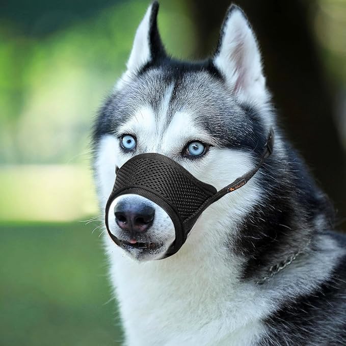 HEELE Dog Muzzle,Soft Nylon Muzzle Anti Biting Barking Chewing,Air Mesh Breathable Drinkable Adjustable Loop Pets Muzzle for Small Medium Large Dogs 4 Colors 4 Sizes XL