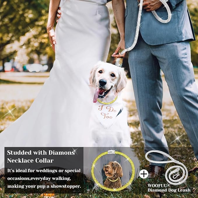 Stylish and Luxurious Diamond Dog Collar,Magnetically Absorbent Clasp,Full Diamond Design,Perfect for Wedding and Everyday Walking - Gold Yellow Diamons Necklace Collar for Small Dogs,12''