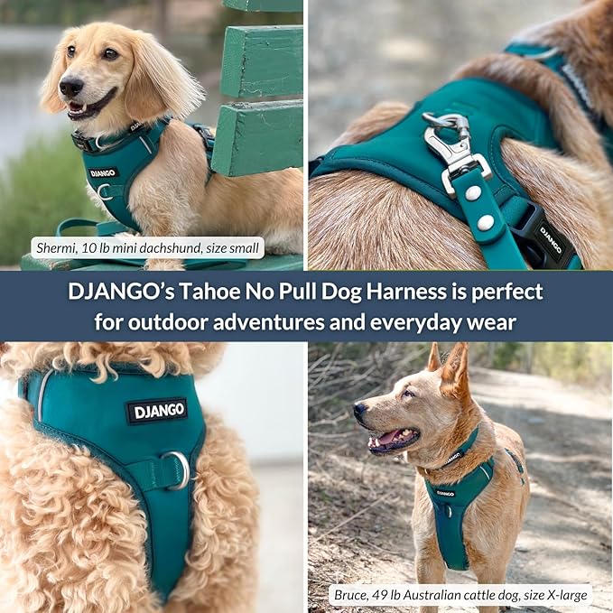 DJANGO Tahoe No Pull Dog Harness – Escape-Proof Dog Harness for Medium & Large Dogs with Front & Back Clips for Everyday Use – Adjustable, Padded, Reflective, Secure, Easy On/Off – Dark Teal, Large