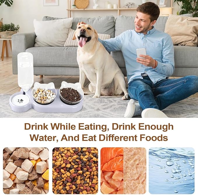 Dog Feeders Automatic Anti-Tip Bowls - 15 Degree Tilted Dogs Feeder Set | for Doggy Puppy Kitten Medium Large All Breeds Home Night Balcony Long Trips Indoor Daily
