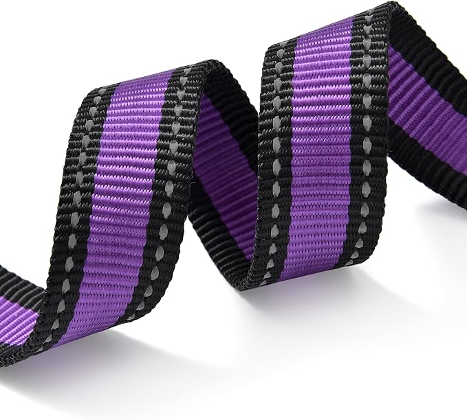 Mile High Life Dog Collar | Nylon Reflective Dog Collars | Light Weight Puppy Collars | Purple Dog Collars for Large Dogs (Purple, Large)