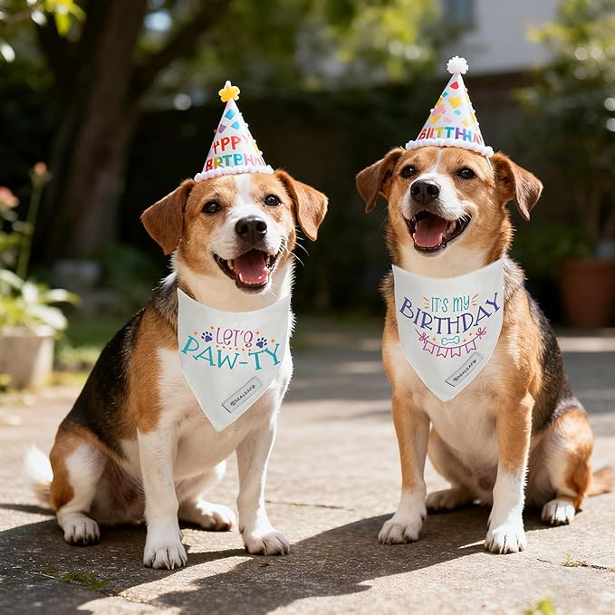 Realeaf Birthday Dog Bandanas 2 Pack (White, Small)