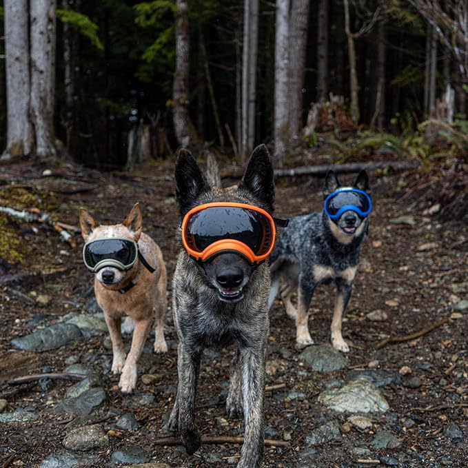 Rex Specs V2 Dog Goggles (Appalachian Orange, X-Large)