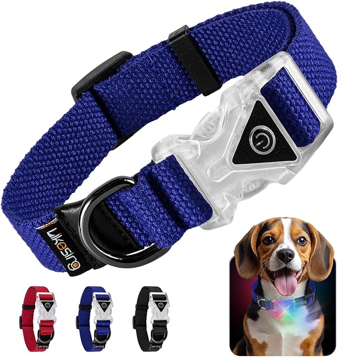 Small Light Up Dog Collar, Cotton Blue Dog Collar Girl Boy, Lighted Dog Collars for Night, IP67 Waterproof Lighted Dog Collars for Small Dogs with Buckle, D-Ring (9.8"-15.7" L, 3/4" W)