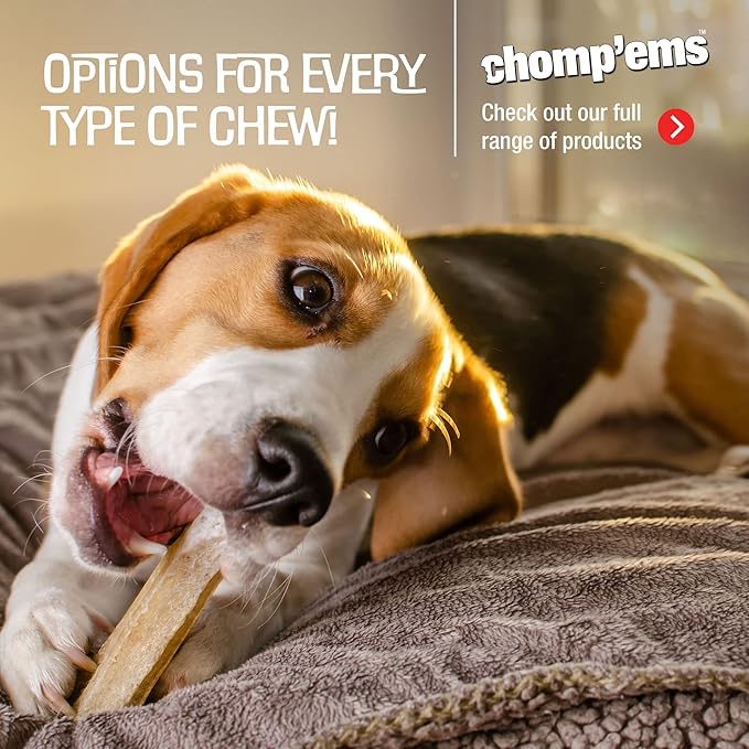 CHOMP 'EMS Ruffin' It 21000 Purehide Bars Dog Chew, 6.35 oz