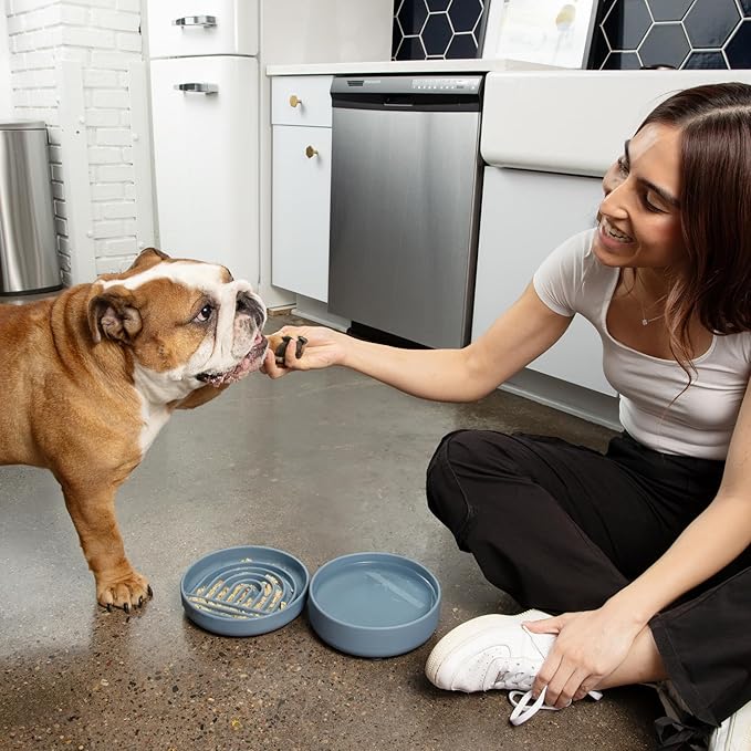Should We Go? Dog Water Bowl - The Perfect Dish No-Spill, Less Mess Non-Tippable Water & Food Bowl, Pure Silicone with Suction Cup Fits 5 Cups 7.5" Across x 2.25" Tall Ideal for All Pets, Medium-Ocean