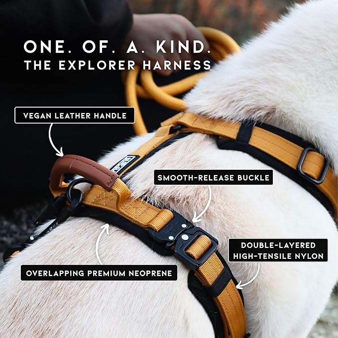 MADE TO ROAM Premium Explorer Harness - Y-Shaped Dog Harness with Adjustable Durable Nylon, Soft Padding, Metal Buckles and Leather Handle for Small, Medium, Large Dogs (Vermont Weekends, Size 4)