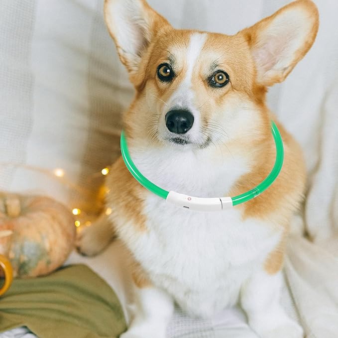 VALICLUD USB Rechargeable LED Dog Collar 70cm Fiber Optic Luminous Pet Collar for Night Walking Safety