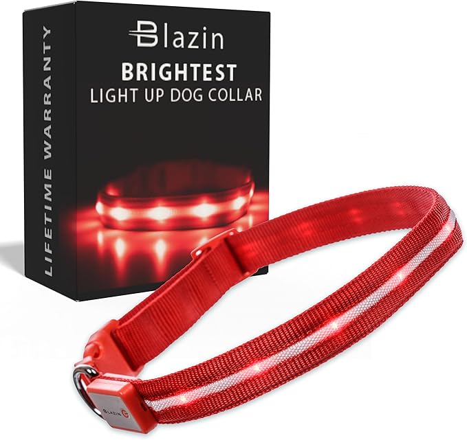 Blazin Light Up Dog Collar - The Original LED Dog Collar - USB Rechargeable - Waterproof - 1,000 Feet of Visibility - Dog Collar Light for Small, Medium, Large Dogs - US Brand