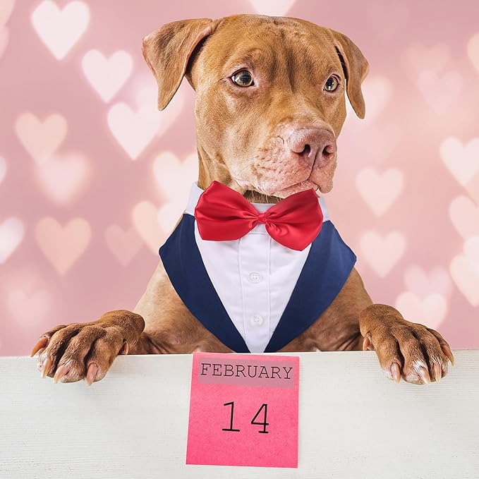 PUMYPOREITY Tuxedo for Large Dogs, Tuxedo and Bandana Set, Formal Wedding Attire, Gentleman Attire With Bowtie for Valentines Christmas Birthday, 2 Pieces/Pack, L, Blue