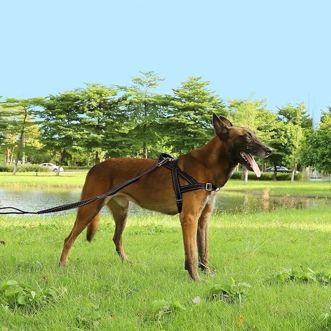 No Pull Dog Harness, Reflective Puppy Harness with Soft Padded Handle, Escape Proof/Quick Fit Adjustable Pet Harness for Small Medium Large Dogs, Easy for Training Walking (Black, XL)