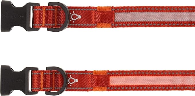 TOP PAW LED + Reflective Orange Dog Collar~X-Large~