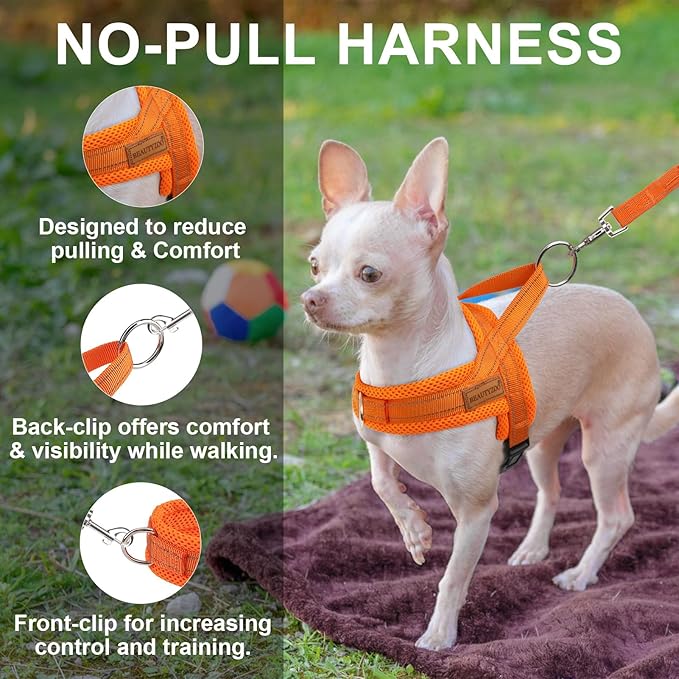 BEAUTYZOO Dog Harness for Small Dogs, No Pull Dog Harness and Leash Set, Escape Proof Puppy Vest Harness with Handle, Reflective Breathable Mesh Padded Harness for Girl Boy Dogs, Orange XXS