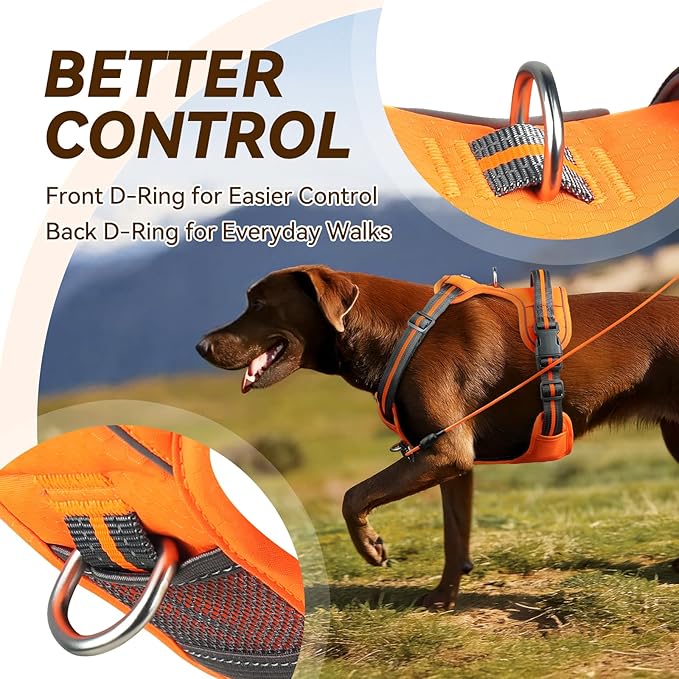 VIVAGLORY Dog Harness Easewalk No Pull Dog Harness with Handle Front Clip & Back Clip for Training Walking Lifting, No Pull Adjustable Easy On Padded Comfortable for Pet, XL, Orange - Patterned