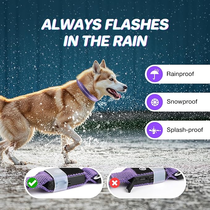 RUXAN Light Up Dog Collar,Dog Lights for Night Walking,LED Collars Waterproof,Glow Dog Collars Rechargeable,Dog Collars Light for Small,Medium,Large Dogs (Large,Purple)