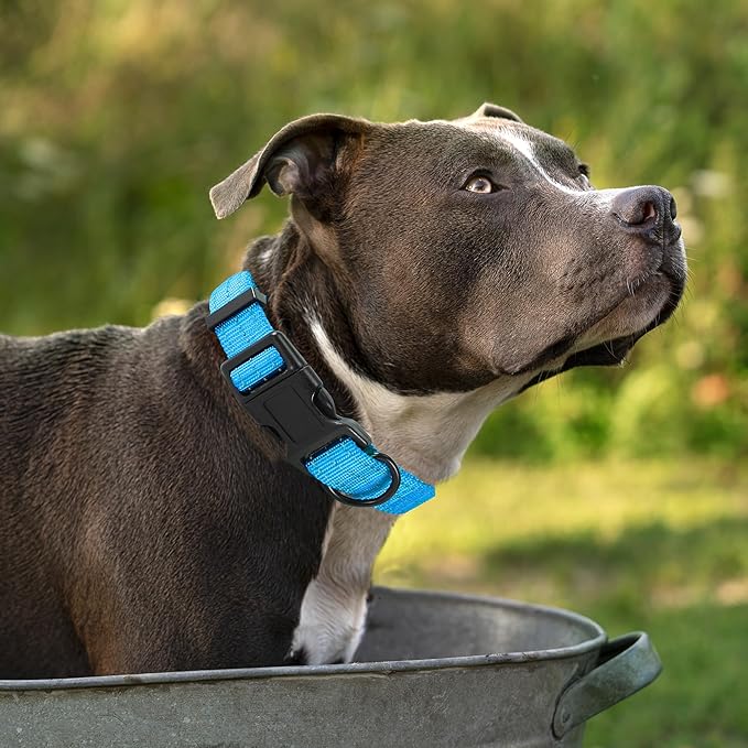 Mile High Life Dog Collar | Nylon Reflective Dog Collars | Light Weight Puppy Collars | Dark Blue Dog Collars for Small Dogs (Dark Blue, X-Small)