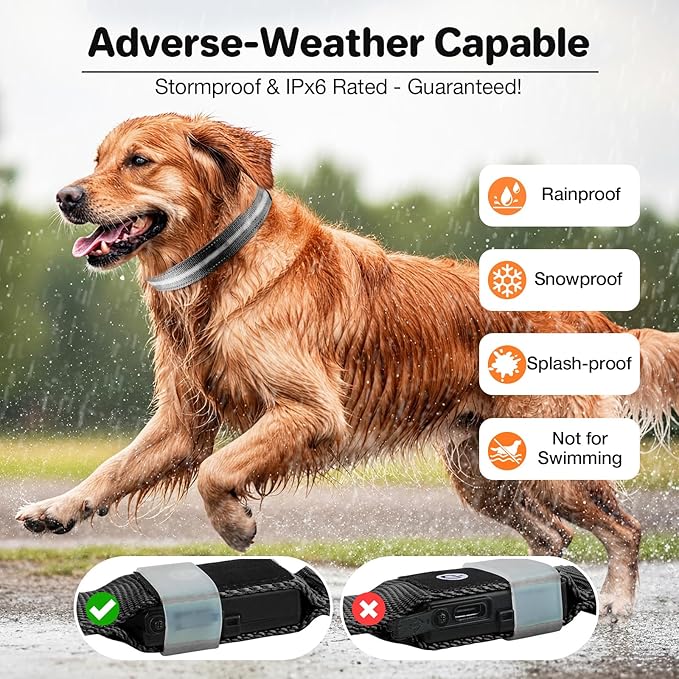 Light Up Dog Collar, USB Rechargeable 6 Modes, Waterproof Charging Port, Long Lasting LED Collar - Adjustable Nylon Reflective for Dogs, Sizes S/M/L (7/9/11 Lights) - 5 Colors (Black, L)