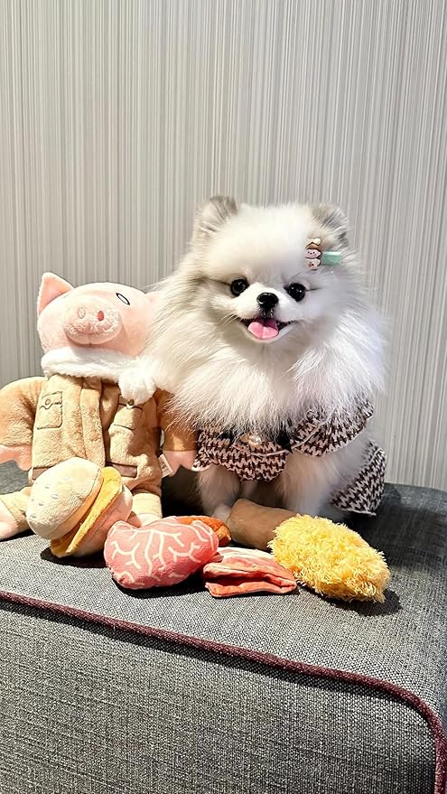 Nocciola Stuffed Pig Dog Toys: Hide and Seek Funny Squeaky Crinkle Plush Dog Chew Toys for Small Medium Breed, Cognitive Training Pet Enrichment Gifts Supplies