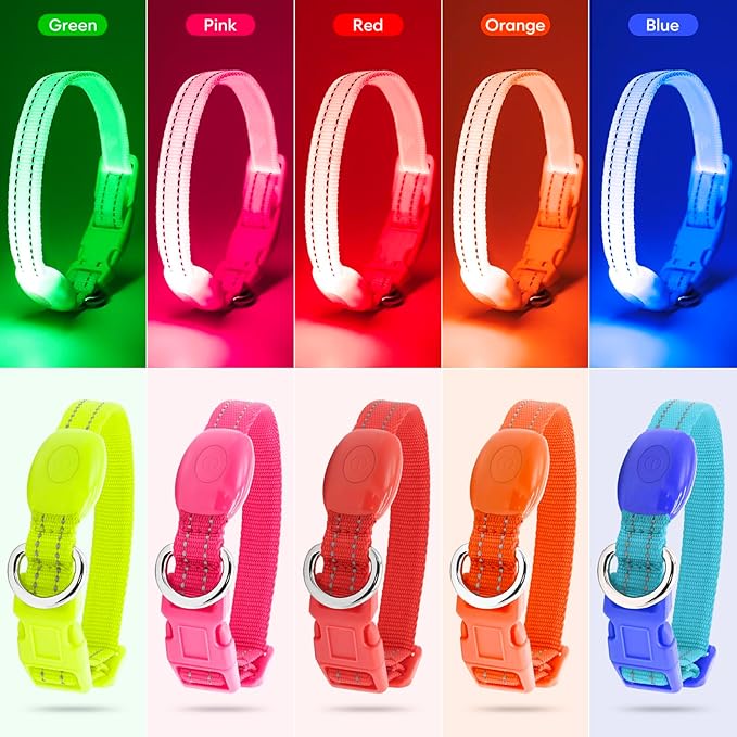 Light Up Dog Collar - Rechargeable LED Pet Collar for Puppies & Cats, Glowing Safety Dog Lights for Night Walking (Orange, XS)