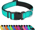 Reflective Dog Collar, Adjustable Soft Neoprene Padded Nylon Pet Collars with Buckle for Small Dogs, Turquoise,S