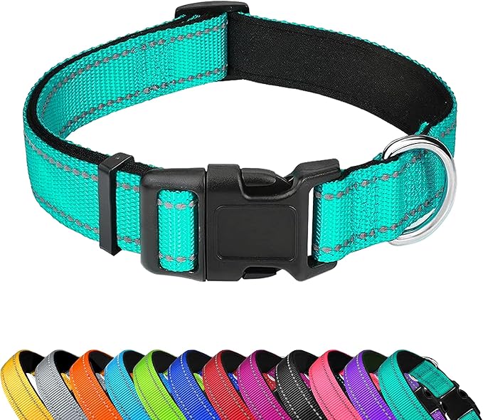 Reflective Dog Collar, Adjustable Soft Neoprene Padded Nylon Pet Collars with Buckle for Large Dogs, Turquoise,L