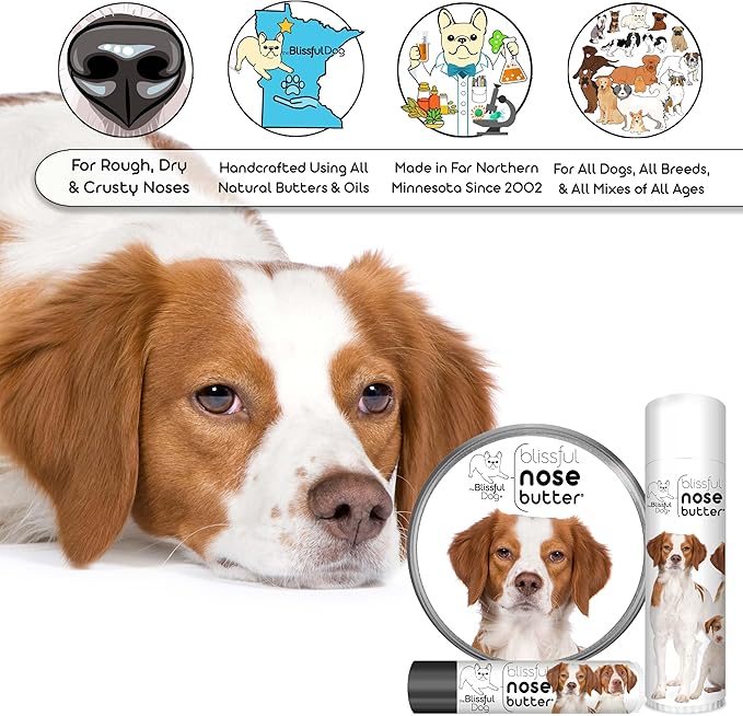 The Blissful Dog Brittany Spaniel Nose Butter for Dry, Cracked Skin, Lick-Safe Dog Nose Balm with Moisturizing Shea Butter, Almond, Olive, and Essential Oils, Pet Supplies, Uncented, 1 oz.