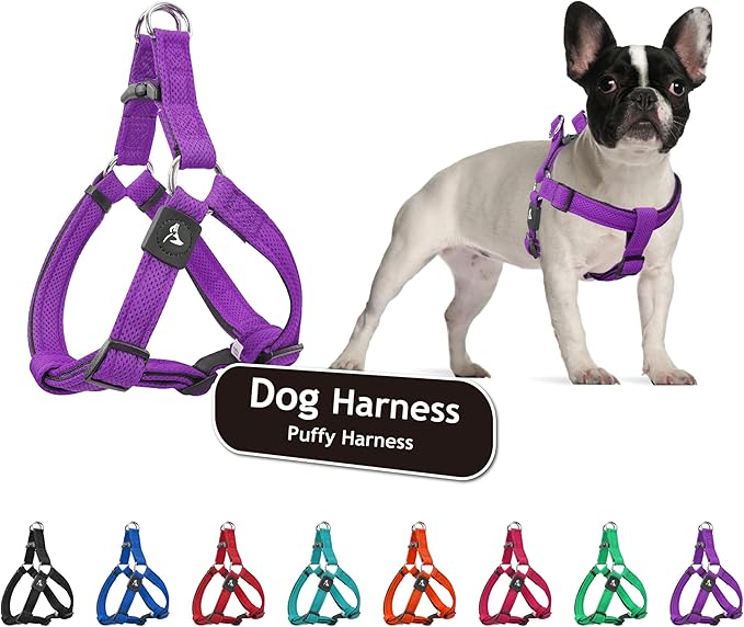 Kruz No Pull Dog Harness (Chest 21”-30”, Weight 22-53 lbs) Heavy-Duty Pet Harness for Medium Breeds, Ultra-Comfort Fit, Lifetime Durability, Adjustable Dog Harness No Pull Design (Amethyst, Medium)