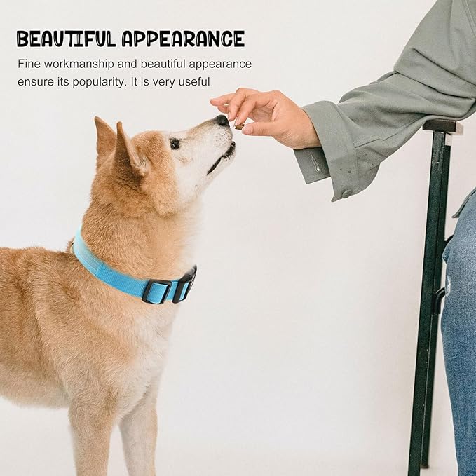 Light up Dog Collar Rechargeable Blue LED Pet Glowing Collar Adjustable Small Size for Puppy and Cat
