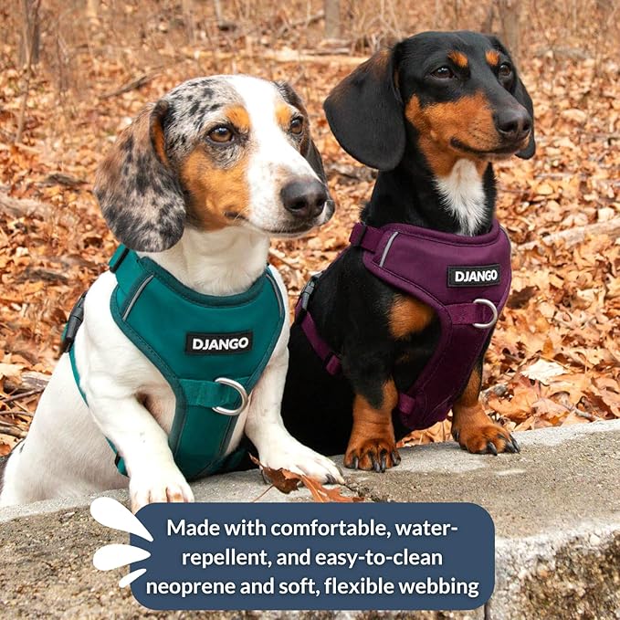 DJANGO Tahoe No Pull Dog Harness – Escape-Proof Dog Harness for Small & Medium with Front & Back Clips for Everyday Use – Adjustable, Padded, Reflective, Secure Fit, Easy On/Off – Dark Teal, Medium