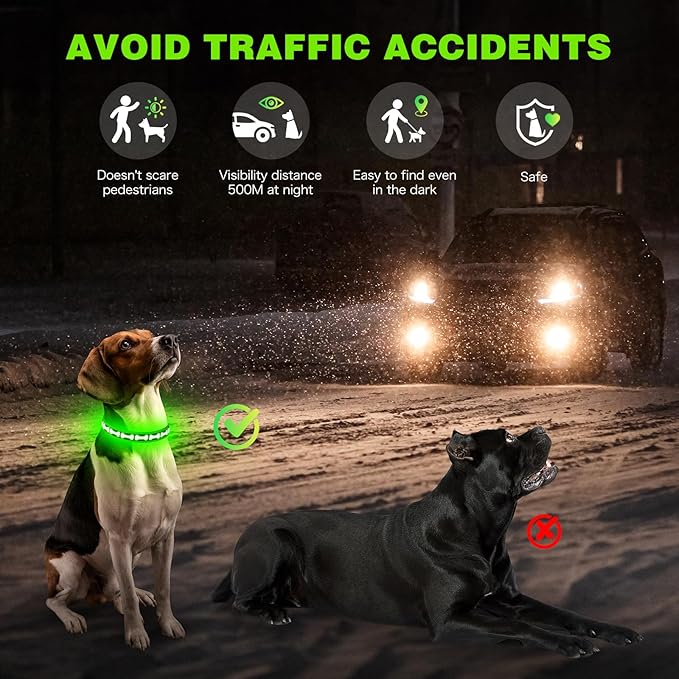 Flashseen Light Up Dog Collars, Adjustable LED Dog Collar Rechargeable, Glow in The Dark Dog Collars Super Bright Glow Collars for Night Walking for Dogs (Green, Medium)