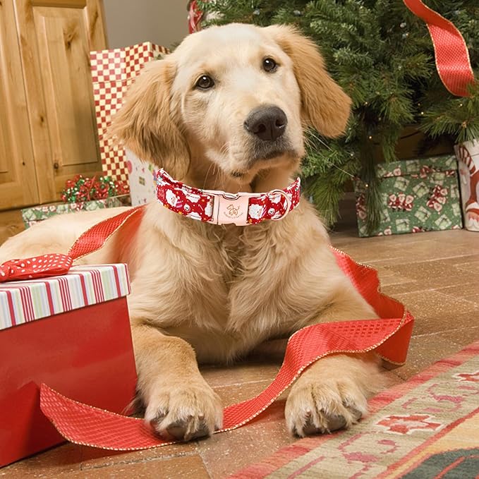 Elegant little tail Christmas Dog Collar, Red Santa Claus Print Pet Collar Dog Durable Cute Dog Collars Winter Holiday Male or Female Pet Gift Adjustable Dog Collar for Medium Dogs