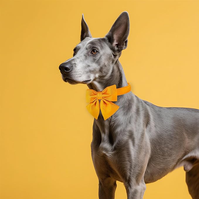 Maca Bates Mango Yellow Dog Collar with Cute Solid Sailor Bow Tie for Extra Large Girl Boy Dogs,Adjustbale Durable Breakaway Soft Collars with Bowtie for Female Male Puppy,Pet with Metal Buckle