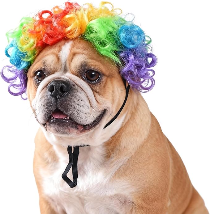 Funny Rainbow Curly Dog Wig with Adjustable Strap - Dog Costume Wig for Dog & Cat, Halloween, Festivals, Cosplay & Gag Parties - Small Medium Large Dogs