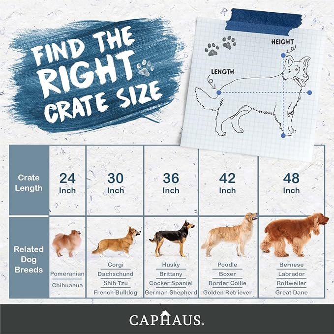 CAPHAUS Foldable Dog Crate Wire Metal Dog Kennel w/Divider Panel, Leak-Proof Pan & Protecting Feet, Single & Double Door, Small, Medium & Large Dog Crate Indoor Wire Dog Cage, 36” w/Double Doors