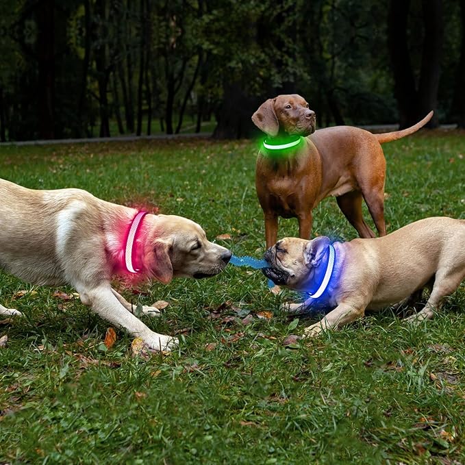 BSEEN LED Dog Collar Light- USB Rechargeable Light Up Dog Collars, Adjustable Mesh Reflective Puppy Collars for Night Dog Walking (Neon Green- Small- Collar)