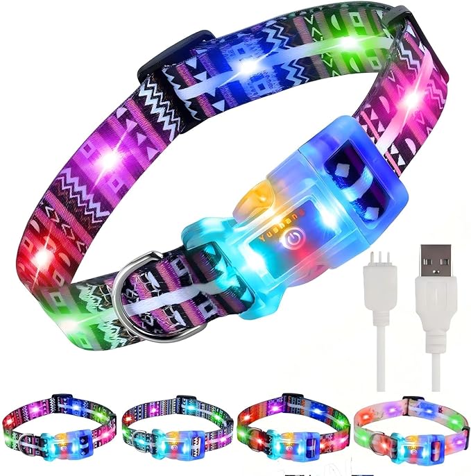 Light Up Dog Collars,LED Dog Collar Rechargeable Waterproof,2-in-1 Buckle Type Glow Collar for Medium Large Dogs- M(10-17 * 0.98 inch can be Crop
