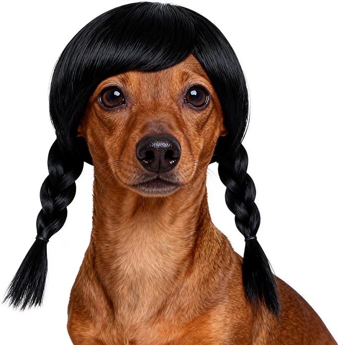 Funny Black Double Ponytail Dog Wig with Adjustable Strap - Pet Cosplay Accessory for Dog & Cat, Halloween, Christmas, Parties, Festivals & Gag Dress Up - Fits Small Medium Large Dogs