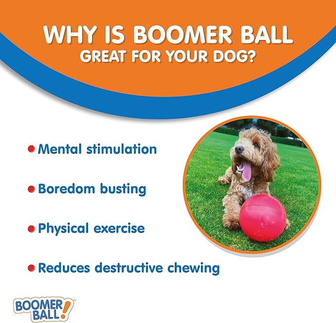 BOOMER BALL 4 inch, Virtually Indestructible Best Dog Toy, Boredom Busting Football, Tough & Durable Small Dog Ball, Floats on Water, Great for Mental Stimulation & High Energy Dogs, Assorted Colours
