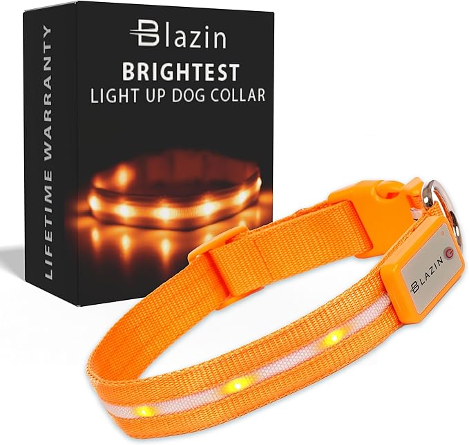 Blazin Light Up Dog Collar - The Original LED Dog Collar - USB Rechargeable - Waterproof - 1,000 Feet of Visibility - Dog Collar Light for Small, Medium, Large Dogs - USA Brand