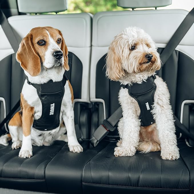 Thule Cappy Dog Harness L - Crash-Tested for Safety - Seatbelt passthrough - Adjustable & Easy to Clean - Padded Breathable mesh Panels - Leash Loop - Step-in Design