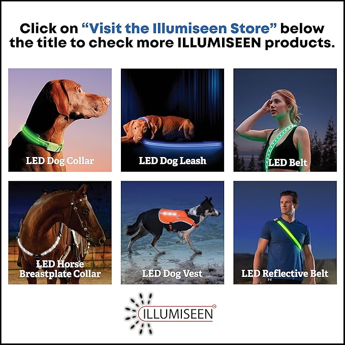 ILLUMISEEN LED Dog Collar USB Rechargeable - Bright & High Visibility Lighted Glow Collar for Pet Night Walking - Weatherproof, in 6 Colors & 6 Sizes (Orange X-Large)