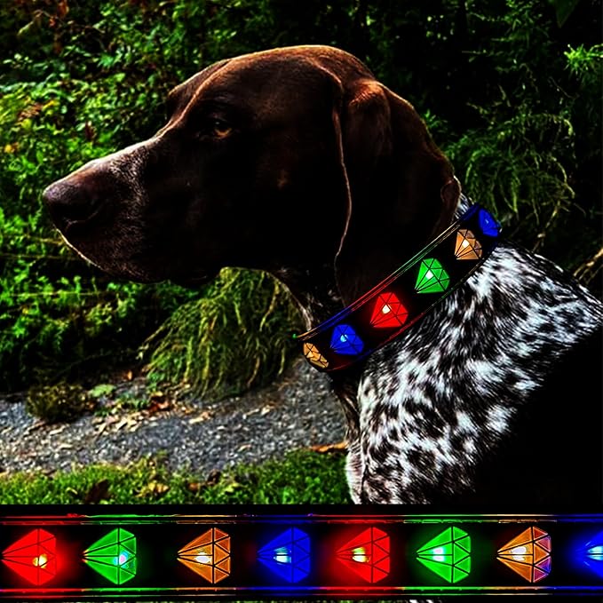 Subversive USB-C led Light up Dog Collar,Star Running LED Design Comfortable and Soft Material,Multicolored Lighting (DM-Black, M(11.8-15.7"))