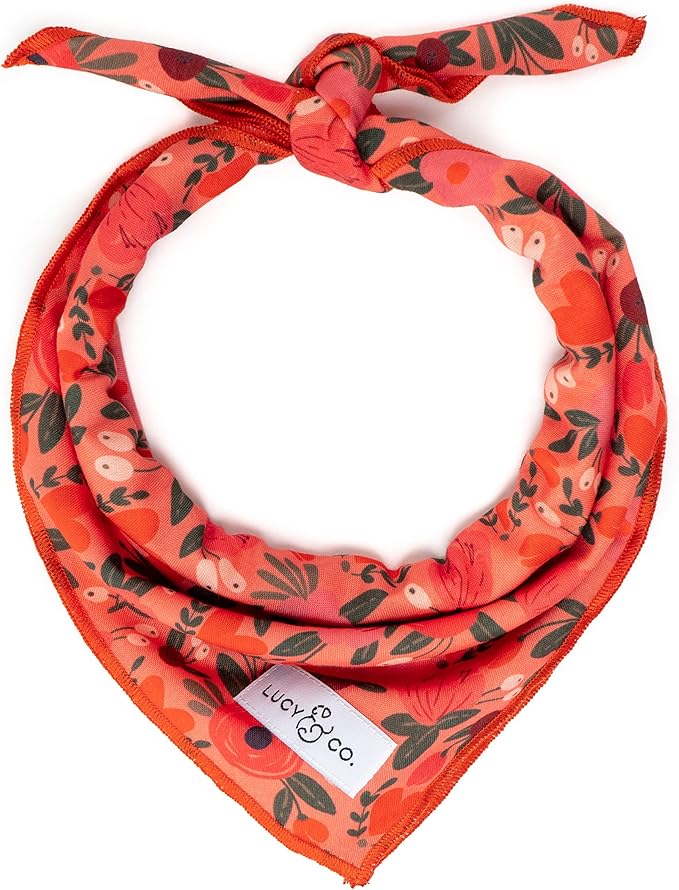 Lucy & Co. Dog Bandana - Designer Puppy Accessory for Boy and Girl Dogs. Made of 100% Polyester. Soft, Stylish and Appropriate for Any Occasion. Machine Washable.