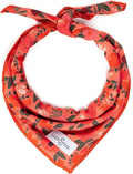 Lucy & Co. Dog Bandana - Designer Puppy Accessory for Boy and Girl Dogs. Made of 100% Polyester. Soft, Stylish and Appropriate for Any Occasion. Machine Washable.